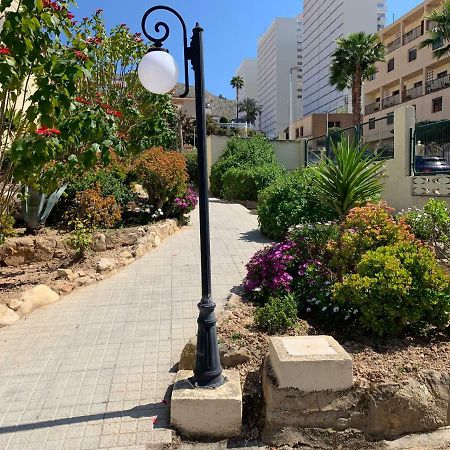 La Siesta Daire Benidorm Dış mekan fotoğraf